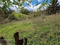 Photo numero 47357051 du bien ABE0144773